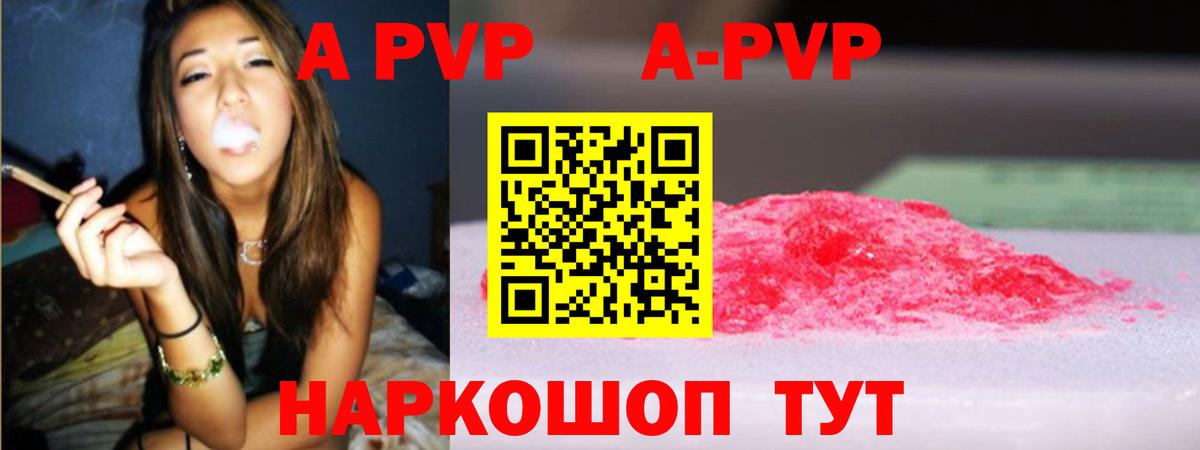 A-PVP СК КРИС Асино