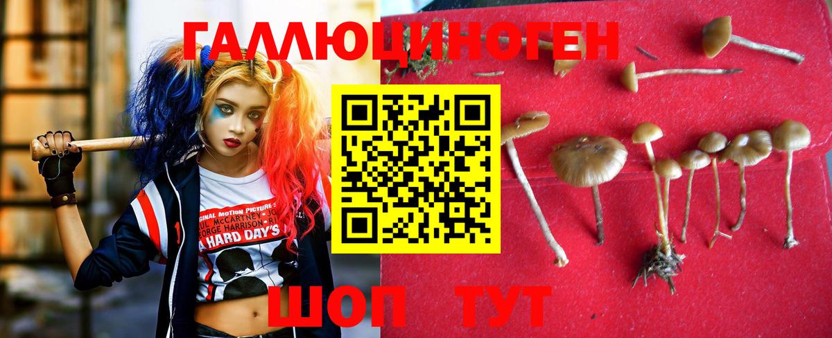 Галлюциногенные грибы мухоморы  Вход с VPN  Асино 