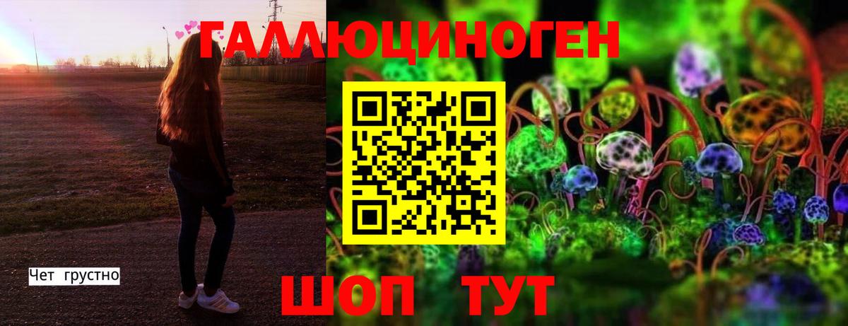 Галлюциногенные грибы Cubensis Асино